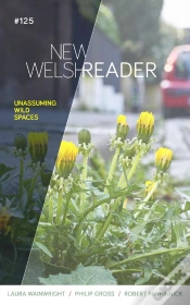 Capa do artigo New Welsh Reader Winter 2020