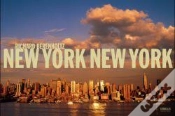 Capa do artigo New York New York