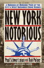 New York Notorious - Preview
