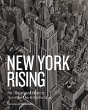 New York Rising - Preview
