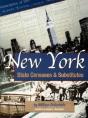 New York State Censuses & Substitutes - Preview