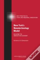 New York'S Nanotechnology Model