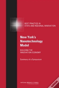 Capa do artigo New York'S Nanotechnology Model