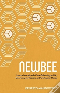 Capa do artigo Newbee