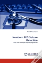 Newborn Eeg Seizure Detection