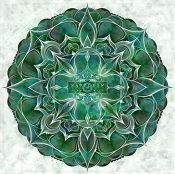 Capa do artigo Newborn Mind - CD