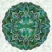 Capa do artigo Newborn Mind - Vinil