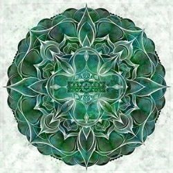 Capa do artigo Newborn Mind - Vinil