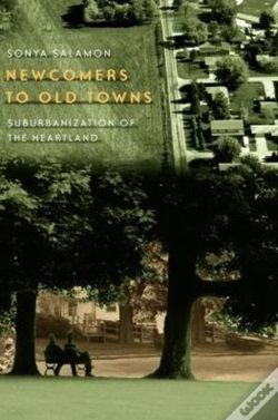 Capa do artigo Newcomers To Old Towns