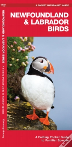 Capa do artigo Newfoundland & Labrador Birds