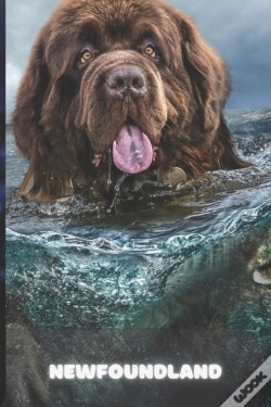 Capa do artigo Newfoundland