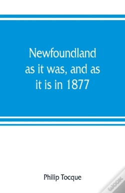 Capa do artigo Newfoundland