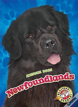 Capa do artigo Newfoundlands
