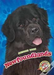 Capa do artigo Newfoundlands