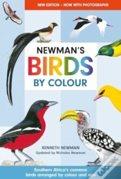 Capa do artigo Newman