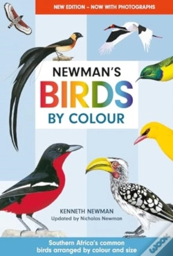 Capa do artigo Newman'S Birds By Colour