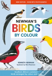 Capa do artigo Newman