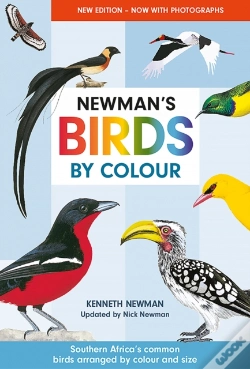 Capa do artigo Newman'S Birds By Colour