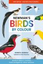 Newman'S Birds By Colour - Preview