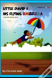 Capa do artigo Newskylight