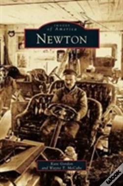 Capa do artigo Newton
