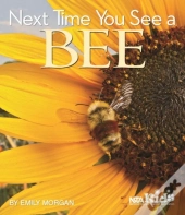 Next Time You See A Bee