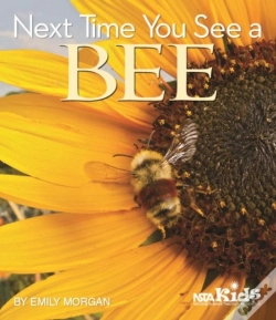 Capa do artigo Next Time You See A Bee