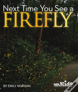 Capa do artigo Next Time You See A Firefly
