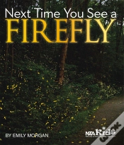 Capa do artigo Next Time You See A Firefly