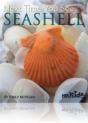 Next Time You See A Seashell - Preview