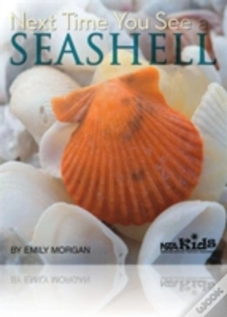 Capa do artigo Next Time You See A Seashell