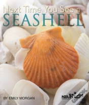 Capa do artigo Next Time You See A Seashell