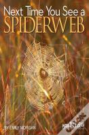 Next Time You See A Spiderweb