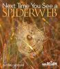 Next Time You See A Spiderweb - Preview