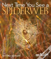Next Time You See A Spiderweb