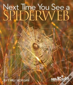 Capa do artigo Next Time You See A Spiderweb