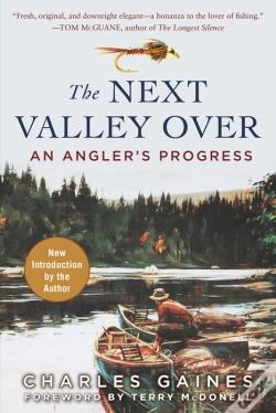 Capa do artigo Next Valley Over