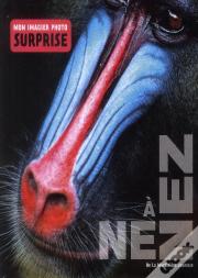 Nez A Nez