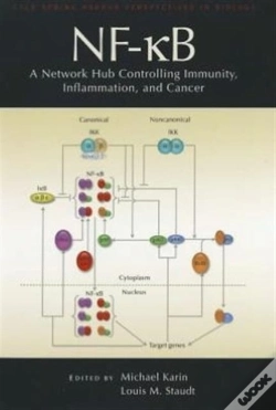 Capa do artigo Nf-κB: A Network Hub Controlling Immunity, Inflammation, And Cancer