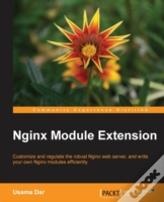 Nginx Module Extension