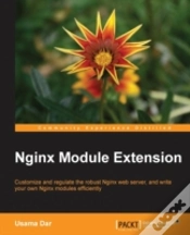 Capa do artigo Nginx Module Extension