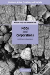 Ngos And Corporations