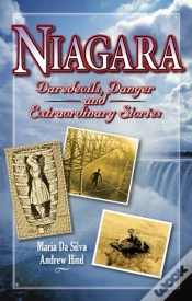 Capa do artigo Niagara