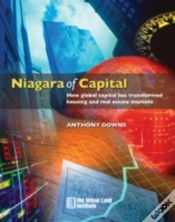 Capa do artigo Niagra Of Capital