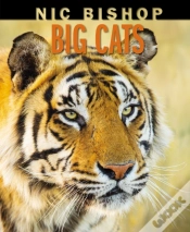 Capa do artigo Nic Bishop Big Cats