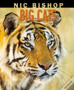Capa do artigo Nic Bishop Big Cats