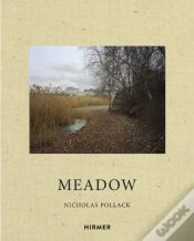 Capa do artigo Nicholas Pollack