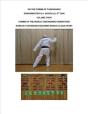Nicholls: On The Forms Of Taekwondo Vol 4 - Preview