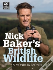 Capa do artigo Nick Baker