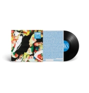 Capa do artigo Nicks and Grazes - Vinil